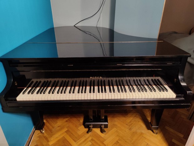 Musica zongora (magyar)