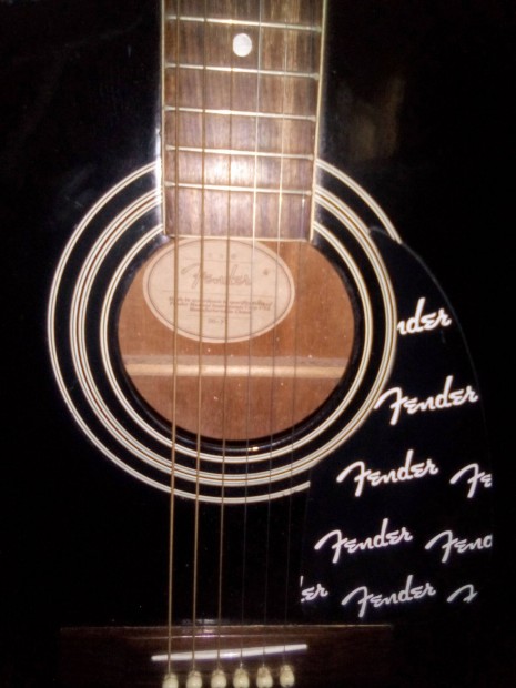 Musical Instruments Corp USA/DG-95 Acoustic Guitar/extrkkal 