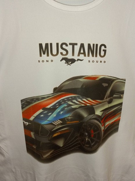Mustang GT pol
