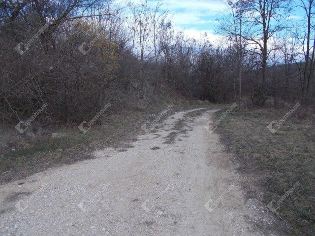 M�vel�sb�l kivont telek elad� Sz�kesfeh�rv�r k�zel�ben.