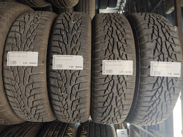 NOKIAN WR D4 81T 165/70R14 DOT2420 7MM T 81 | téligumi |