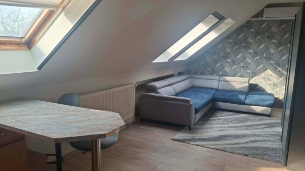 N�dor utc�n b�torozott fiatalos lak�s kiad�