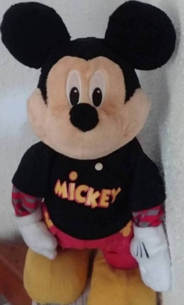 Nagy Mickey egr 