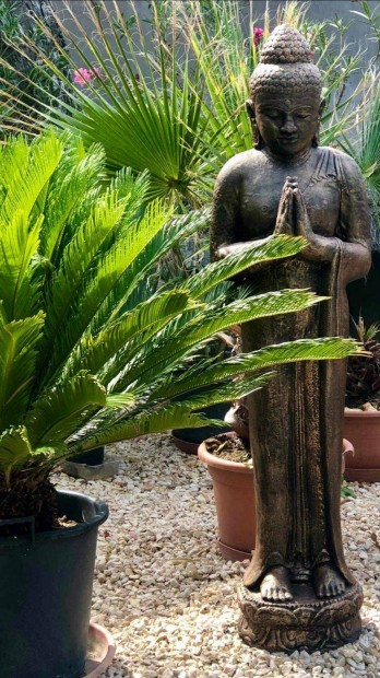 Nagy buddha szobor 