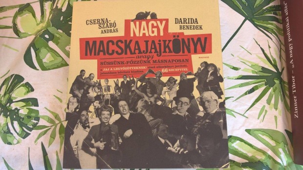 Nagy macskajajknyv