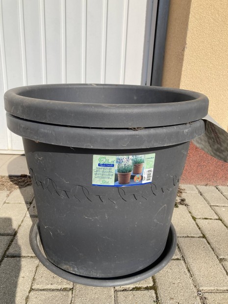 Kaspok Olcson () Kaspok Olcson