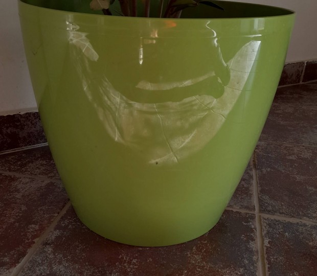 Nagy zöld kaspo 36cm és közepesek locsolokanna szett 4db
