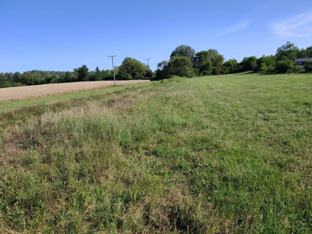 Nagycser�n sz�nt� elad�