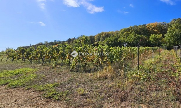 Nagyhars�nyi 209 nm-es h�z elad�