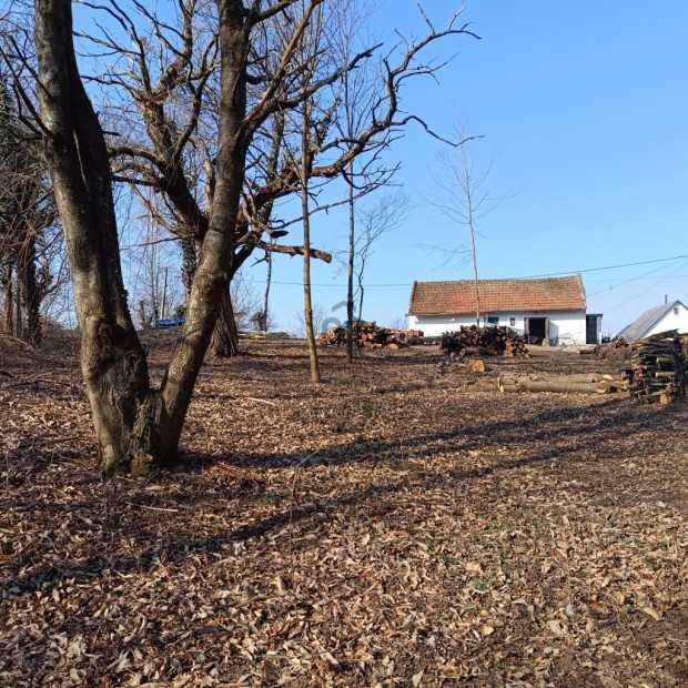 Nagykanizsai 55 nm-es h�z elad�