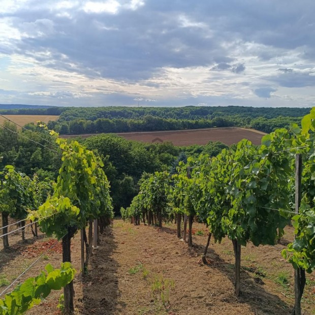 Nagykanizsai elad� 30 nm-es h�z