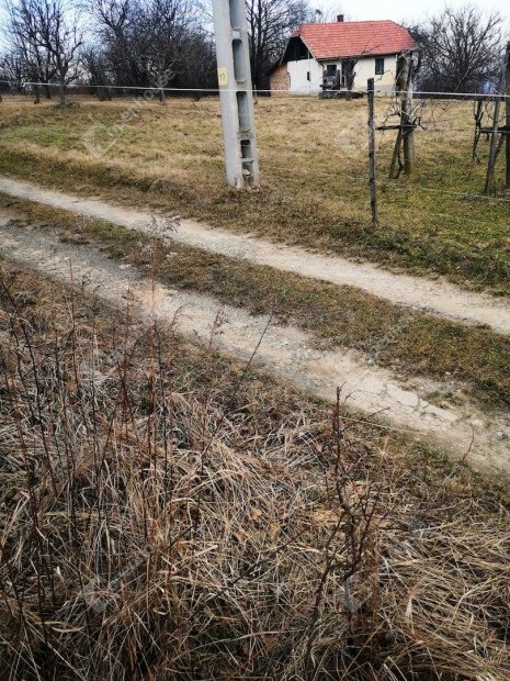 Nagykapornak v�ros hegyen s�k k�lter�leti ter�let elad�!