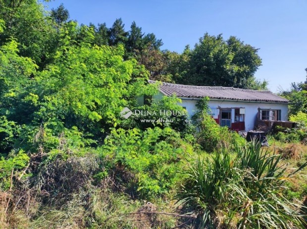 Nagyk�tai 66 nm-es h�z elad�