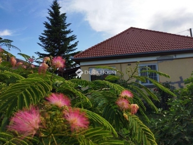 Nagyk�tai elad� 78 nm-es h�z