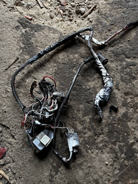 Nagykerek� k�belk�teg (donor)