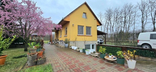 Nagyk�r�s�n egy k�l�nleges 118 nm-es csal�di h�z Elad�!