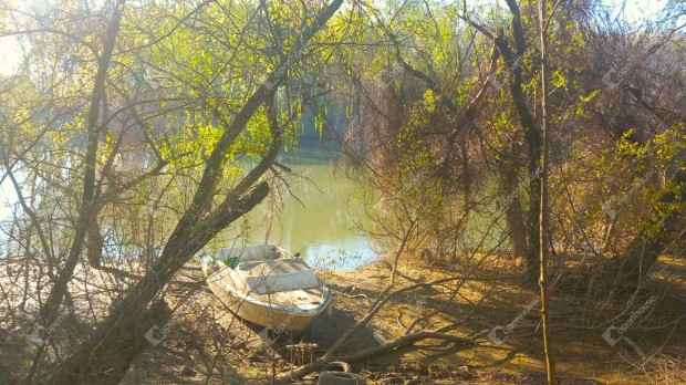 Nagykr Tisza-partjn egy feljtand horgsztanya elad!