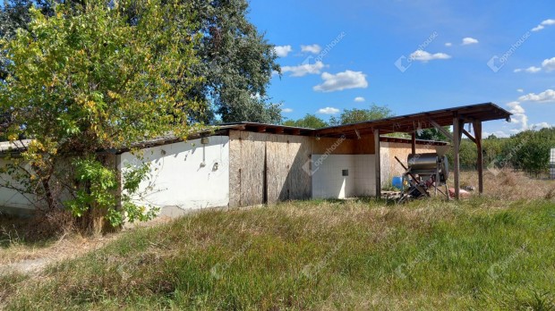Nagykörűi 4046 nm-es mezőgazdasági ingatlan eladó