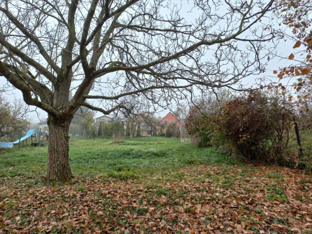 Nagykovcsi belterleti telek