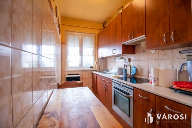 Nagylak�s saj�t kertr�sszel