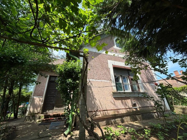 Nagymacsi csal�di h�z elad� hangulatos nagy telekkel