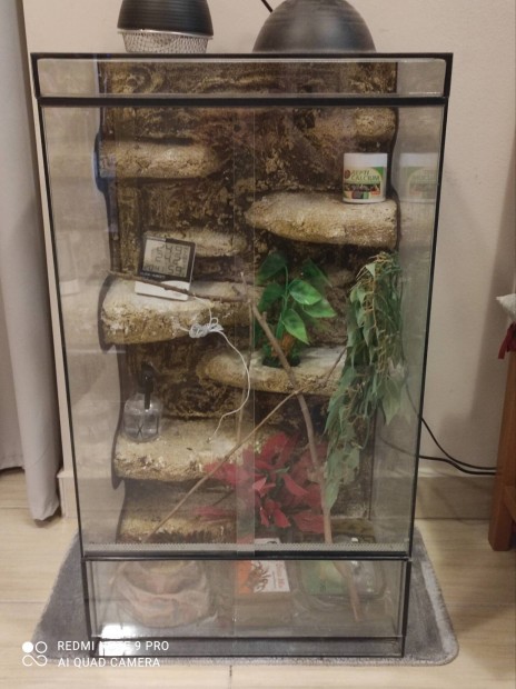Nagyméretű Terrarium eladó