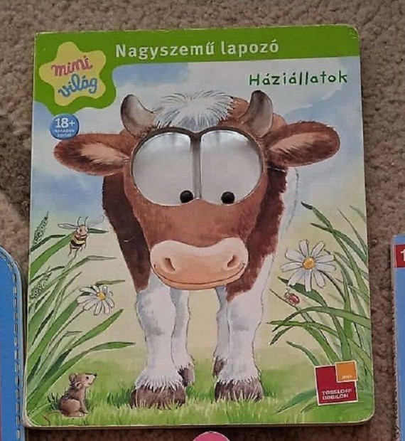 Nagyon ritka! Hzillatok - Nagyszem lapoz (Mini vilg sorozat)