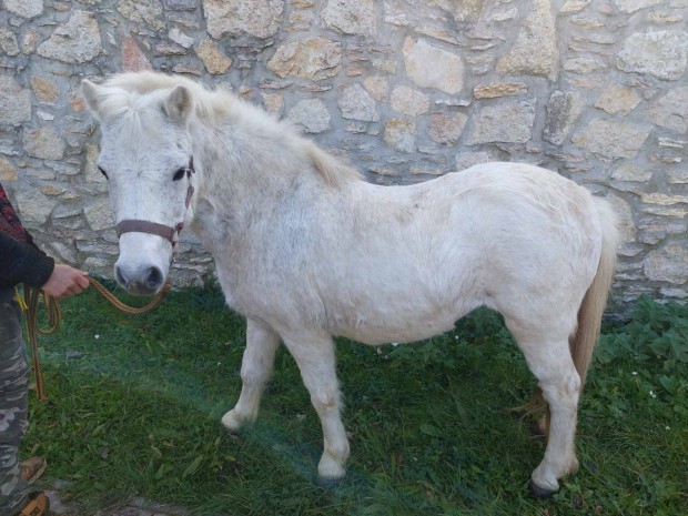 Nagyon szeld, cuki pnikanca