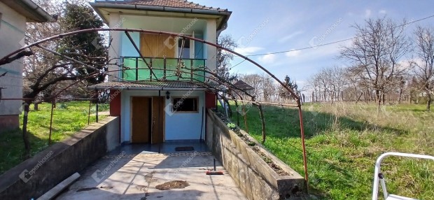 Nagyp�liban Kiv�l� lehet�s�g a term�szet szerelmeseinek !