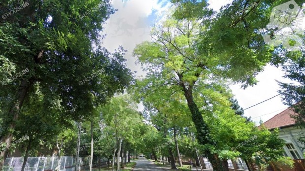 Nagypolg�ri villa a belv�ros k�zel�ben !