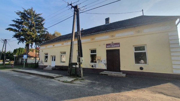 Nagyszak�csi elad� ingatlan ( csal�di h�z, �zlet, pince.)