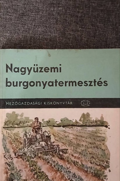 Nagyzemi burgonyatermeszts 1963. rgi szakknyv, knyv