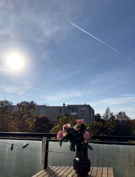 Napf�nyes, der�s, hitelezhet�, z�ld�vezeti lak�s, alacsony rezsivel