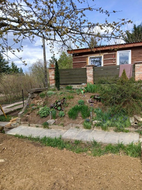 Napf�nyes kuck� 600 nm-es telken Budakeszi, Nagysz�n�szug