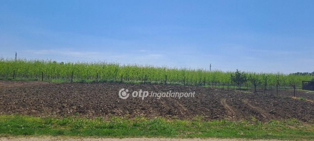 Napkori elad� 937 nm-es telek