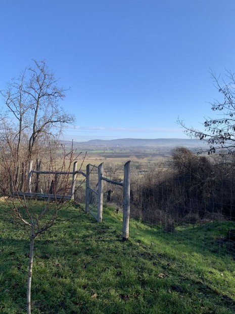Naszly Lthegyen, 813 m2-es htvgi telek elad