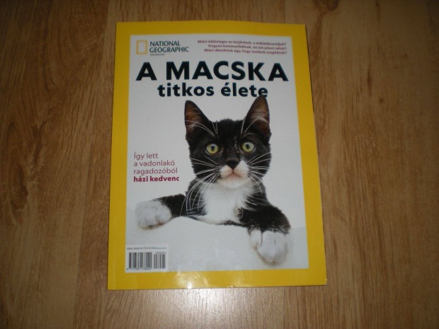 National Geographic A macska titkos lete