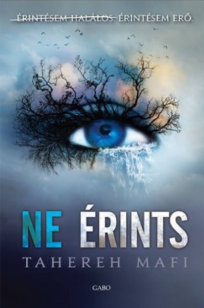 Ne rints - Tahareh Mafi Ebook