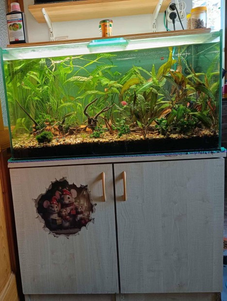 Negyed ron: akvrium 86x46x48 cm+szekrny s sok hozzval