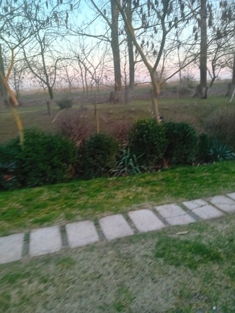 Nem k�zvetlen v�zparti telek elad� Cs�rdasz�ll�son