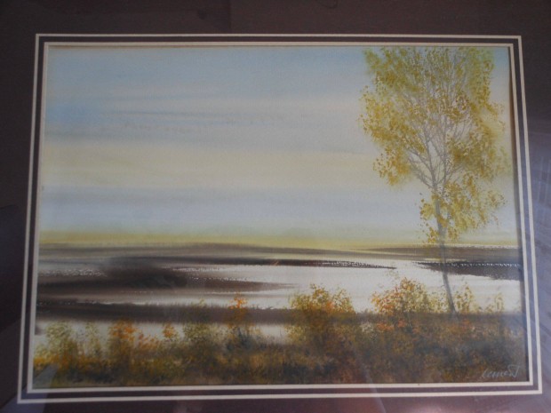 Nemes Tibor szignzott akvarell tjkp kerettel 68x52