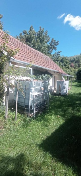 Nemesap�tiban z�rtkerti ingatlan, 5142 m2 telekkel elad�!