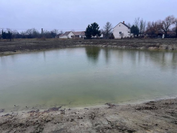 Nemesg�rzs�nyi t�