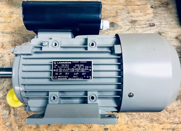 N�met 3000W Egyf�zis� �j Villanymotor 230V 2850/p F�r�szg�p