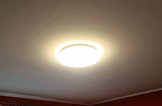 Nmet mennyezeti LED lmpa 