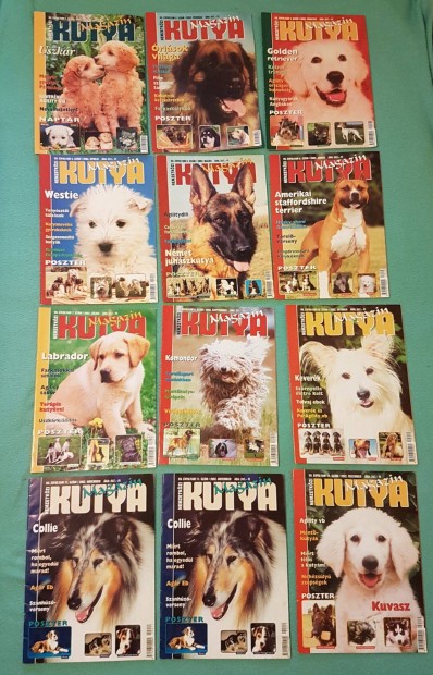 Nemzetkzi Kutya Magazinok - 2002-es szmok