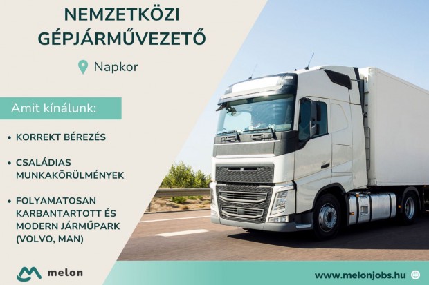 Nemzetközi gépjárművezető