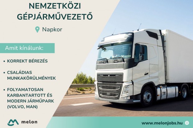 Nemzetközi gépjárművezető