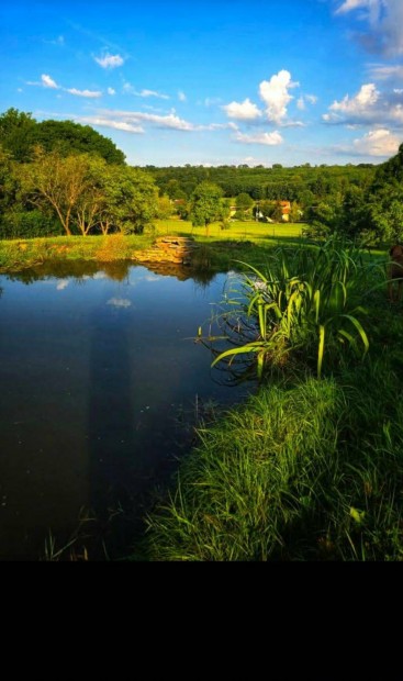 N�pi Barokk St�lus� Csal�di H�z Elad� Nagy Telekkel Fels�csat�ron