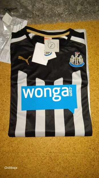 Newcastle United focimez 2014/2015 szezon